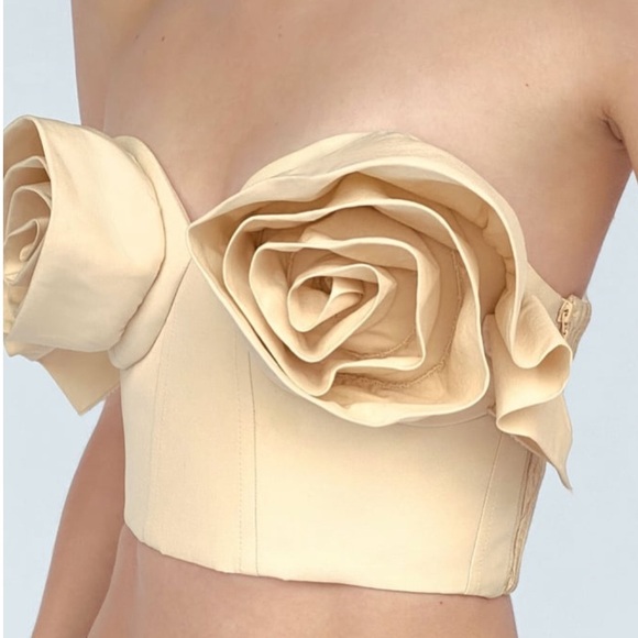 ZARA Floral Bustier Limited Edition BNWT - Picture 6 of 8